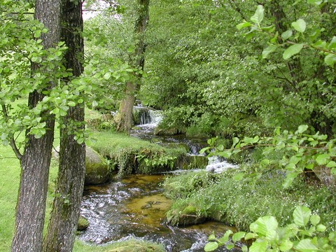 Laurière - ruisseau de Lavergne