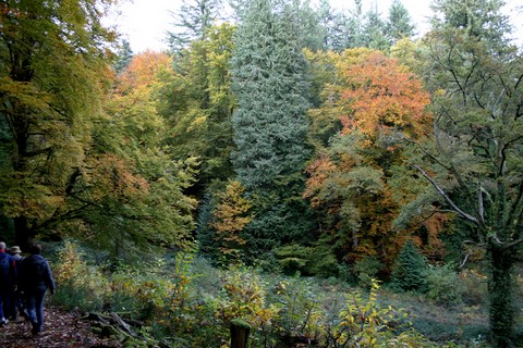 La-Jonchère-Saint-Maurice - automne dans l'arboretum