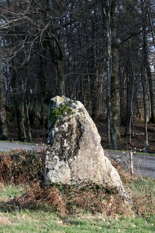 Saint-Priest-la-Feuille - Menhir de La-Rebeyrolle