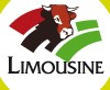 logo race limousine